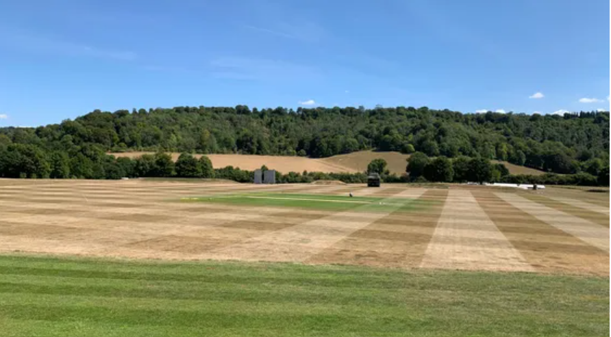 Image for Keeping it green in drought conditions